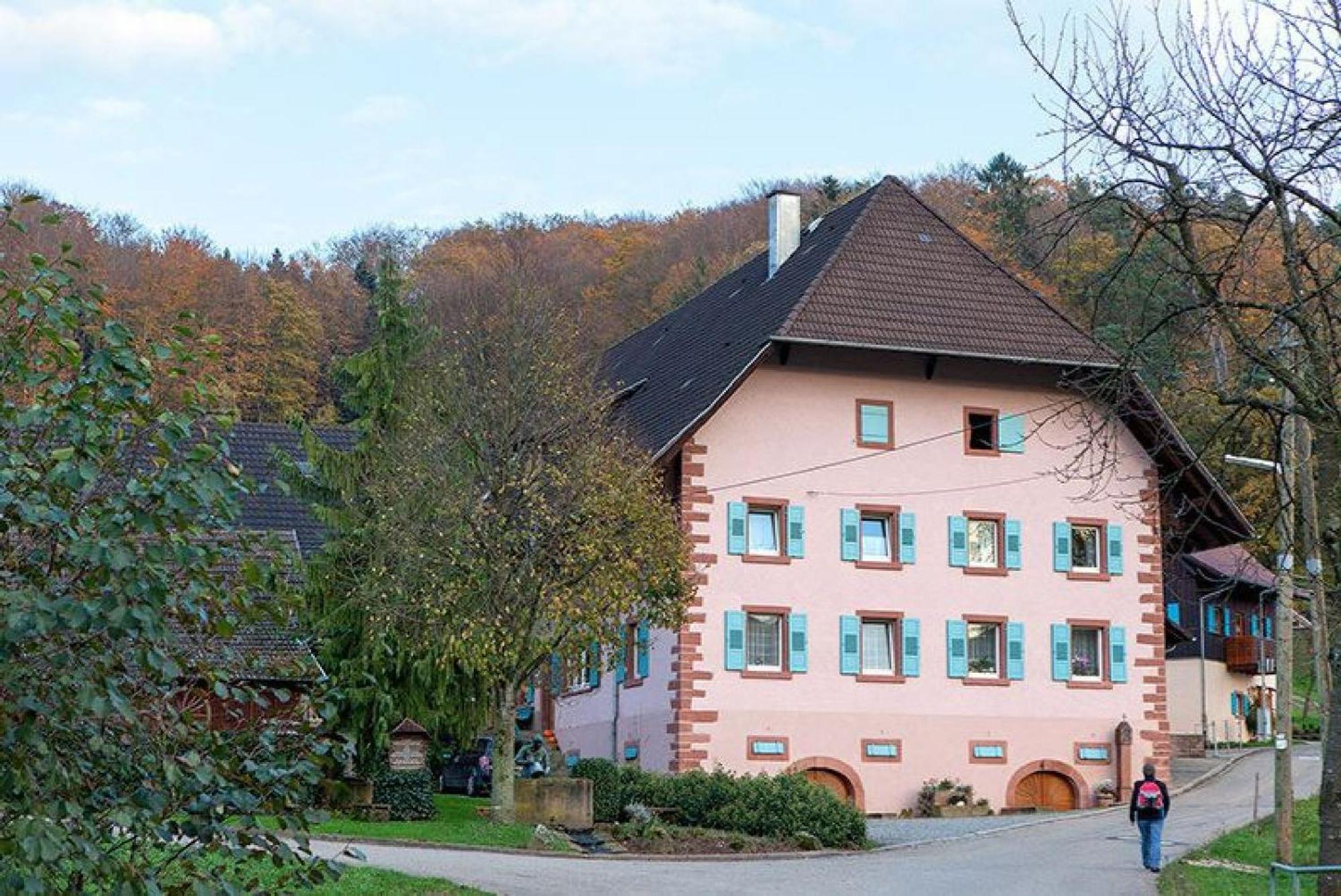 Ziegelhof Appartement Schuttertal Buitenkant foto